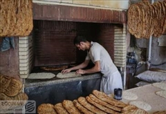 نظارت بر عرضه نان