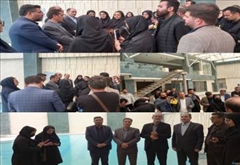 بازدید